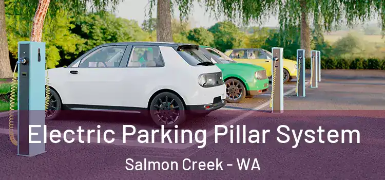 Electric Parking Pillar System Salmon Creek - WA