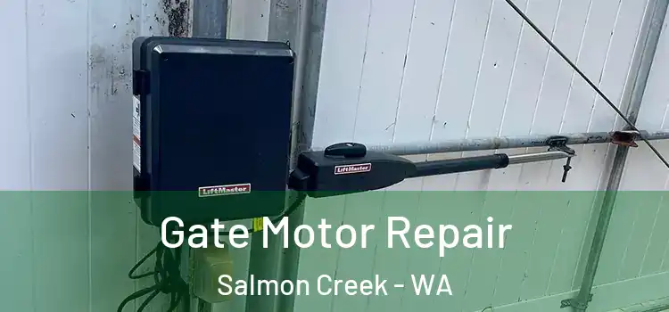 Gate Motor Repair Salmon Creek - WA