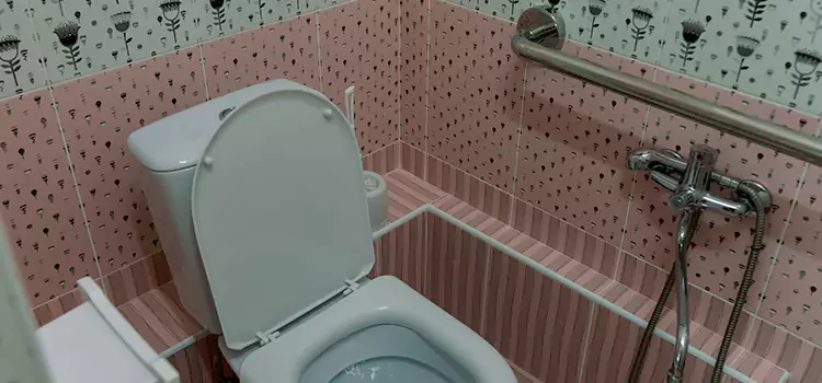 Meeting Diverse Needs With Accessible Restroom Solutions in Salmon Creek, WA